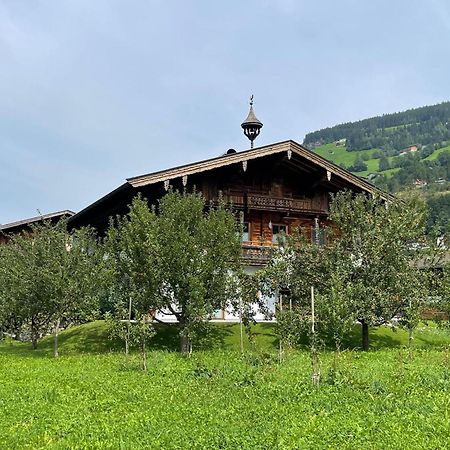 Blick Zum Mayrhofen Ramsau im Zillertal Dış mekan fotoğraf